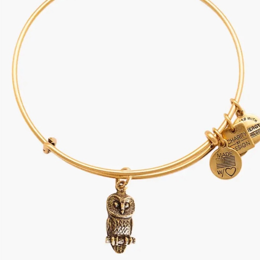 Alex and Ani Braclet